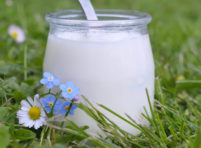 yaourts blanc fermiers